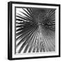 Segovia Noir - Focus-Ben Wood-Framed Giclee Print