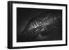 Seguin Bw-Sebastien Lory-Framed Photographic Print