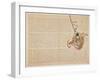 Sei?bo Having a Swing, C.1818-29-null-Framed Giclee Print