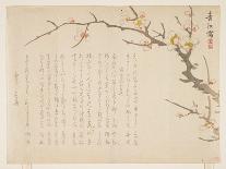 Flowering Plum, January 1837-Seik? Hashimoto-Giclee Print