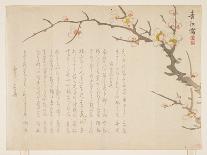 Flowering Plum, January 1837-Seik? Hashimoto-Framed Giclee Print