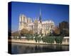 Seine River Notre Dame, Paris-null-Stretched Canvas