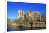 Seine River with Notre Dame Cathedral, UNESCO World Heritage Site, Paris, Ile de France, France, Eu-Hans-Peter Merten-Framed Photographic Print