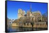 Seine River with Notre Dame Cathedral, UNESCO World Heritage Site, Paris, Ile de France, France, Eu-Hans-Peter Merten-Framed Stretched Canvas