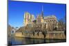 Seine River with Notre Dame Cathedral, UNESCO World Heritage Site, Paris, Ile de France, France, Eu-Hans-Peter Merten-Mounted Photographic Print