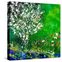 Seinga-Pol Ledent-Stretched Canvas