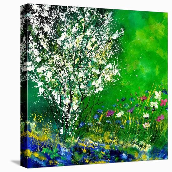 Seinga-Pol Ledent-Stretched Canvas