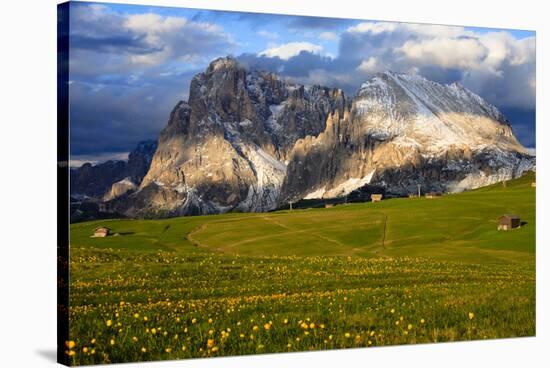 Seiser Alm and Langkofel in Schlern-Rosengarten Nature Park, Dolomites, Trentino-South Tyrol, Italy-null-Stretched Canvas