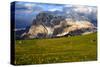 Seiser Alm and Langkofel in Schlern-Rosengarten Nature Park, Dolomites, Trentino-South Tyrol, Italy-null-Stretched Canvas