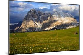 Seiser Alm and Langkofel in Schlern-Rosengarten Nature Park, Dolomites, Trentino-South Tyrol, Italy-null-Mounted Art Print