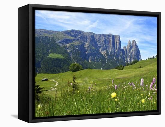 Seiser Alm, Trentino, South Tyrol, Italy-Katja Kreder-Framed Stretched Canvas