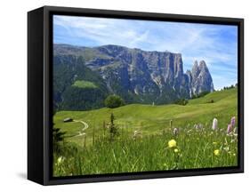 Seiser Alm, Trentino, South Tyrol, Italy-Katja Kreder-Framed Stretched Canvas