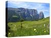 Seiser Alm, Trentino, South Tyrol, Italy-Katja Kreder-Stretched Canvas