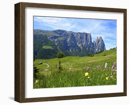 Seiser Alm, Trentino, South Tyrol, Italy-Katja Kreder-Framed Photographic Print