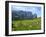 Seiser Alm, Trentino, South Tyrol, Italy-Katja Kreder-Framed Photographic Print