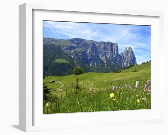 Seiser Alm, Trentino, South Tyrol, Italy-Katja Kreder-Framed Photographic Print