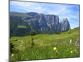 Seiser Alm, Trentino, South Tyrol, Italy-Katja Kreder-Mounted Photographic Print