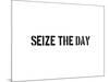 Seize The Day-SM Design-Mounted Art Print