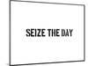 Seize The Day-SM Design-Mounted Art Print