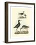 Selby Sandpipers I-John Selby-Framed Art Print