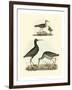 Selby Sandpipers I-John Selby-Framed Art Print