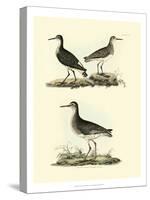 Selby Sandpipers II-John Selby-Stretched Canvas