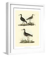 Selby Sandpipers II-John Selby-Framed Art Print