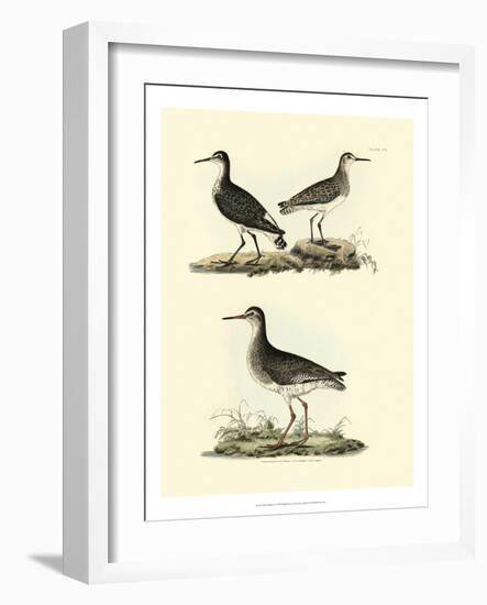 Selby Sandpipers II-John Selby-Framed Art Print