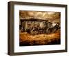 Seldom-Stephen Arens-Framed Photographic Print