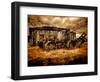 Seldom-Stephen Arens-Framed Photographic Print