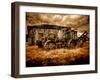 Seldom-Stephen Arens-Framed Photographic Print