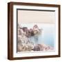 Brown Frame
