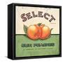 Select Peaches-Angela Staehling-Framed Stretched Canvas