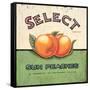 Select Peaches-Angela Staehling-Framed Stretched Canvas