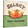 Select Peaches-Angela Staehling-Stretched Canvas