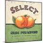 Select Peaches-Angela Staehling-Mounted Art Print