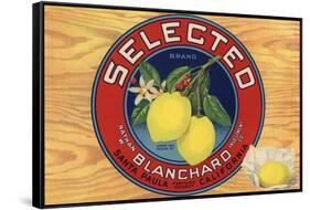 Selected Brand - Santa Paula, California - Citrus Crate Label-Lantern Press-Framed Stretched Canvas