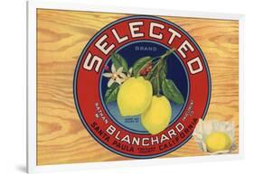 Selected Brand - Santa Paula, California - Citrus Crate Label-Lantern Press-Framed Art Print