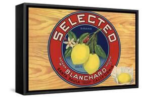 Selected Brand - Santa Paula, California - Citrus Crate Label-Lantern Press-Framed Stretched Canvas