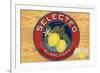 Selected Brand - Santa Paula, California - Citrus Crate Label-Lantern Press-Framed Premium Giclee Print