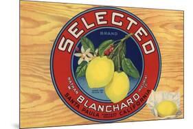 Selected Brand - Santa Paula, California - Citrus Crate Label-Lantern Press-Mounted Premium Giclee Print