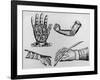 Selection of 16th Century Artificial Arms & Hands.-Jeremy Burgess-Framed Photographic Print