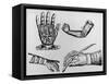 Selection of 16th Century Artificial Arms & Hands.-Jeremy Burgess-Framed Stretched Canvas