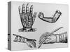 Selection of 16th Century Artificial Arms & Hands.-Jeremy Burgess-Stretched Canvas