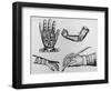 Selection of 16th Century Artificial Arms & Hands.-Jeremy Burgess-Framed Photographic Print