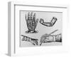 Selection of 16th Century Artificial Arms & Hands.-Jeremy Burgess-Framed Photographic Print