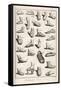 Selection of Ancient and Not So Ancient Footwear Including Various Styles of Sandal-Bernard-Framed Stretched Canvas