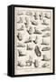 Selection of Ancient and Not So Ancient Footwear Including Various Styles of Sandal-Bernard-Framed Stretched Canvas