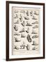 Selection of Ancient and Not So Ancient Footwear Including Various Styles of Sandal-Bernard-Framed Art Print