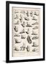 Selection of Ancient and Not So Ancient Footwear Including Various Styles of Sandal-Bernard-Framed Premium Giclee Print